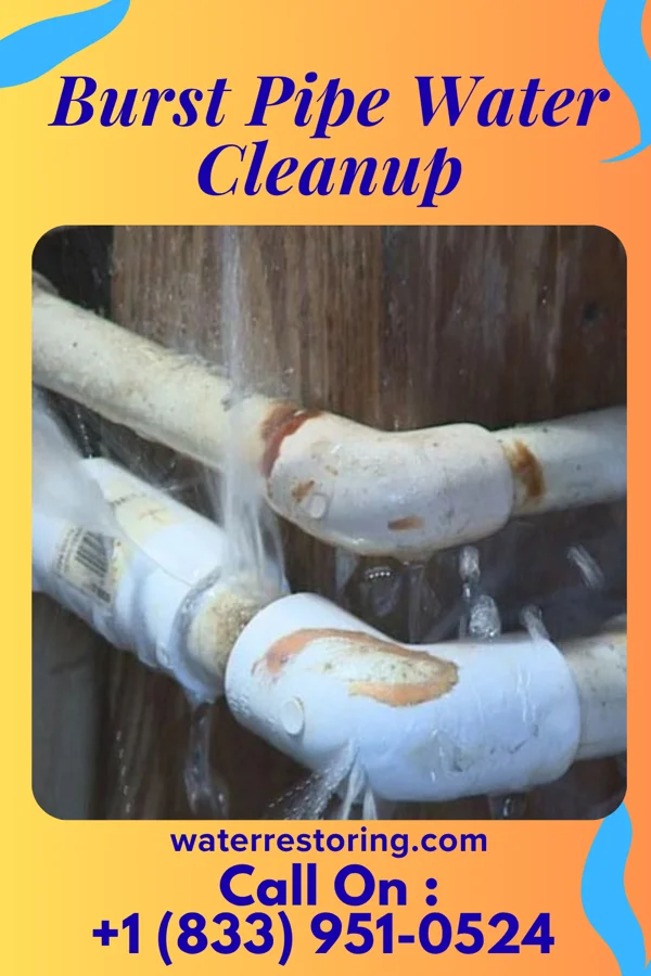 Burst Pipe Water Cleanup in Northwest Harwich, MA