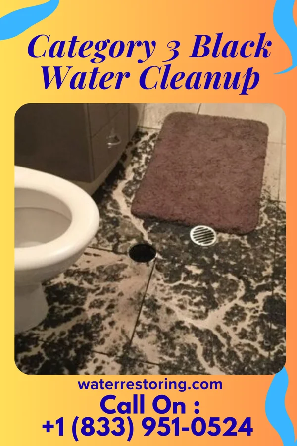 Category 3 Black Water Cleanup in Northwest Harwich, MA