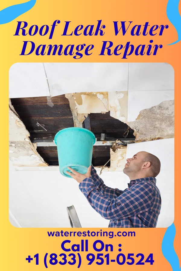 Roof Leak Water Damage Repair in Northwest Harwich, MA