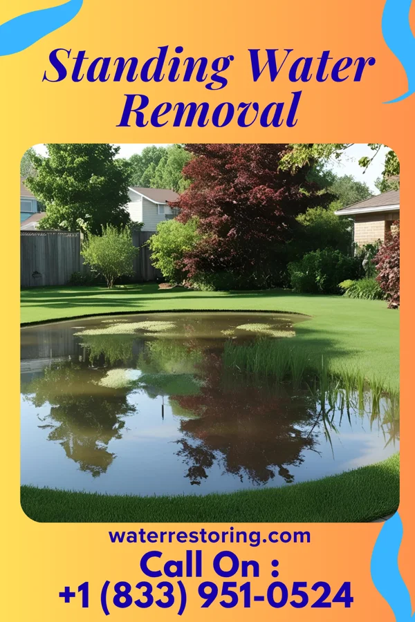 Standing Water Removal in Northwest Harwich, MA